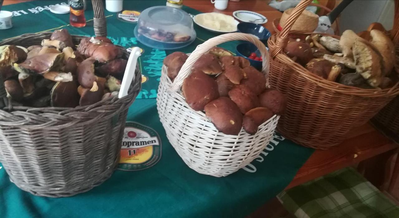 Sedmikraska Villa Horni Marsov Luaran gambar